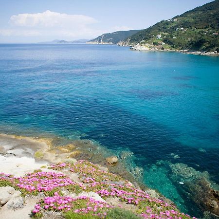Hotel Gallo Nero SantʼAndrea Dış mekan fotoğraf