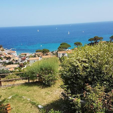 Hotel Gallo Nero SantʼAndrea Dış mekan fotoğraf