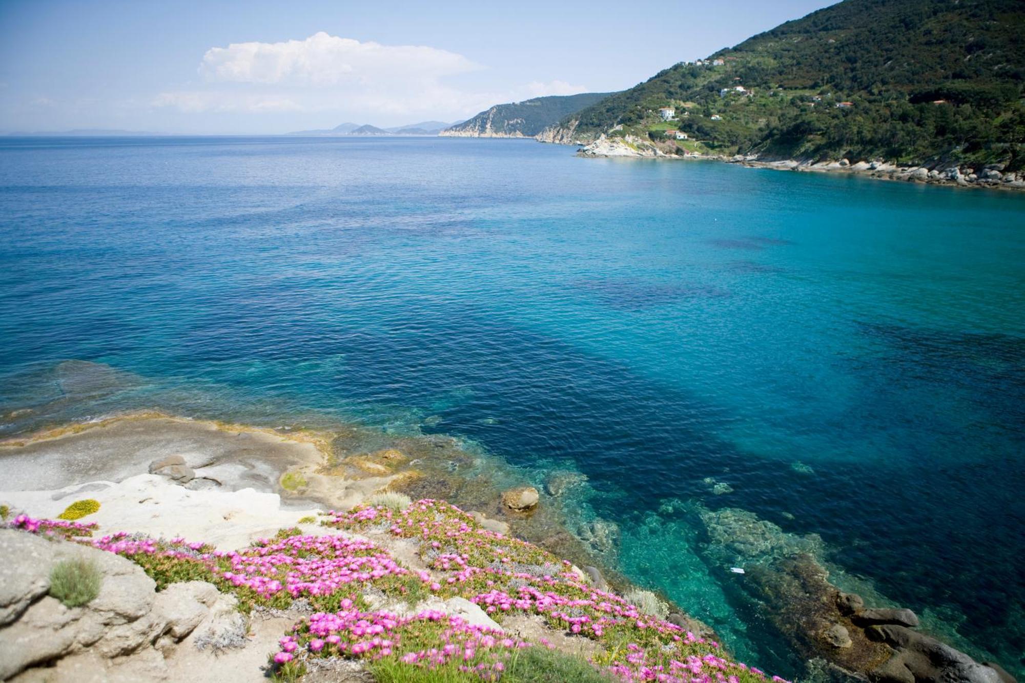Hotel Gallo Nero SantʼAndrea Dış mekan fotoğraf