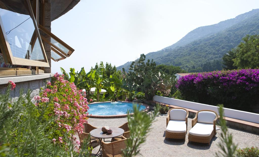 Hotel Gallo Nero SantʼAndrea Dış mekan fotoğraf