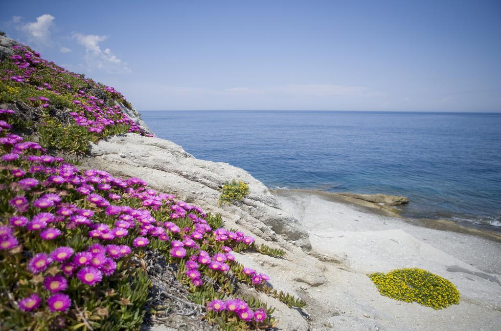 Hotel Gallo Nero SantʼAndrea Dış mekan fotoğraf
