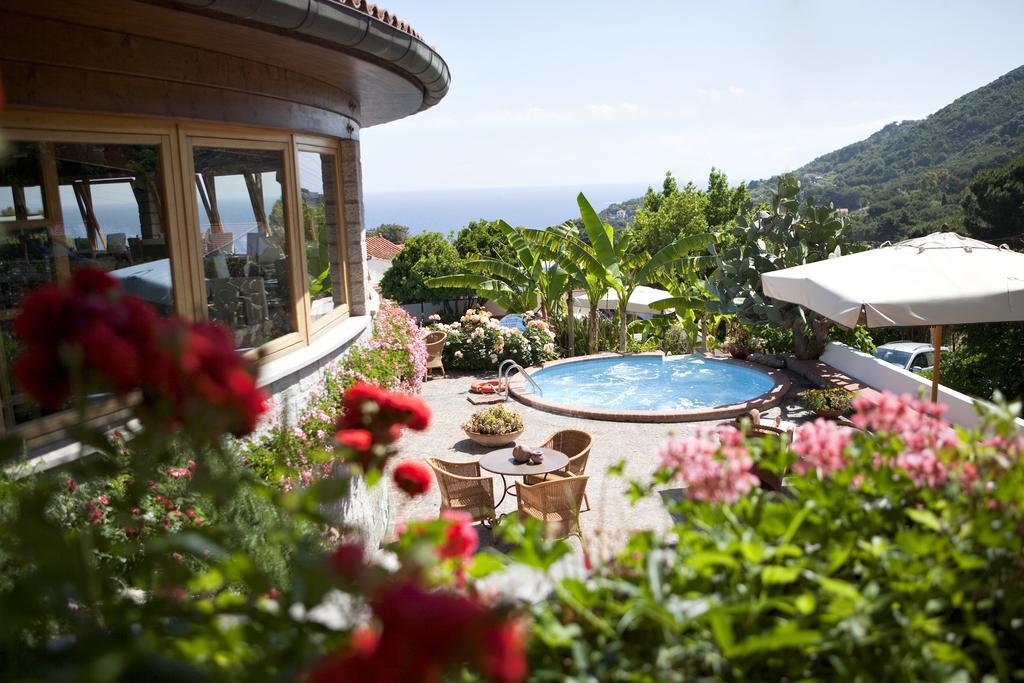 Hotel Gallo Nero SantʼAndrea Dış mekan fotoğraf