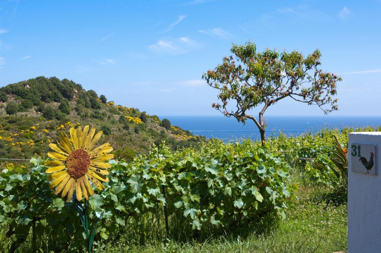 Hotel Gallo Nero SantʼAndrea Dış mekan fotoğraf