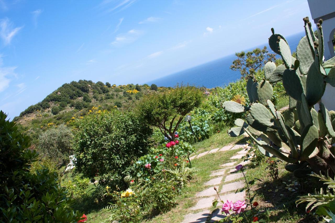 Hotel Gallo Nero SantʼAndrea Dış mekan fotoğraf